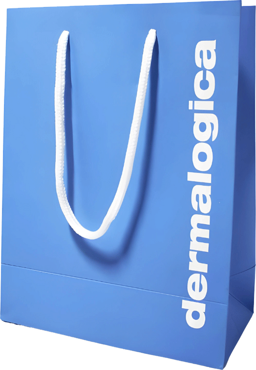 Dermalogica-Custom-Paper-Bag Dermalogica Custom Paper Bag